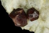 Red Pyrope Garnets in Quartzite - Namibia #128395-3